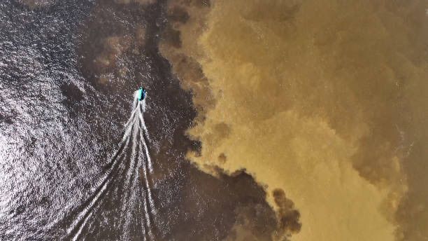 Passeios de barco